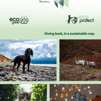 Eco green and Eco protect
